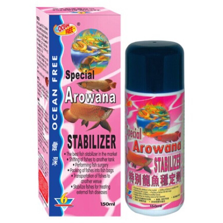 Thuốc mê cá Arowana Stabilizer có hiệu quả gây mê nhanh, được sử dụng rất phổ biến